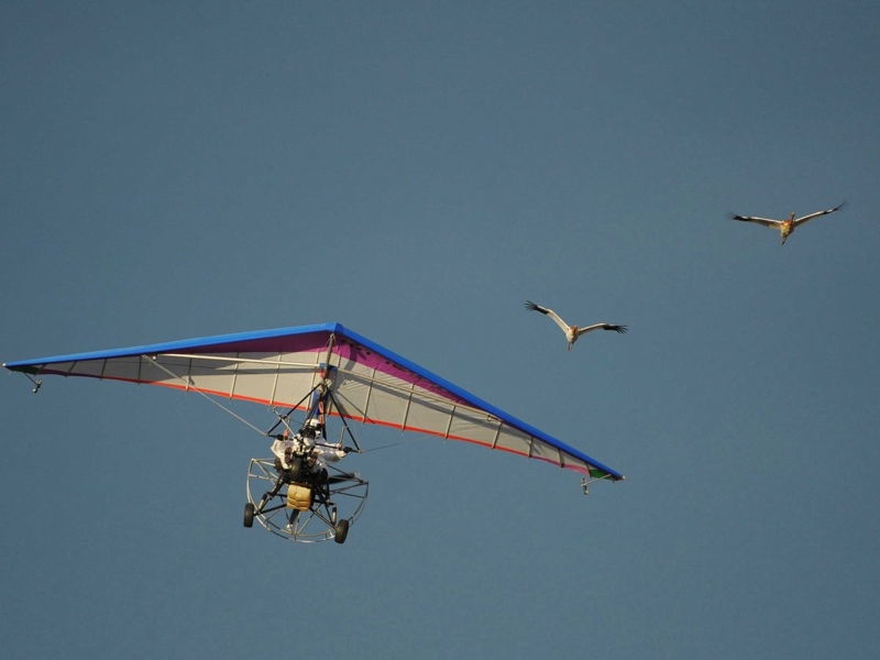 Vlad Putin Ridiculous 33